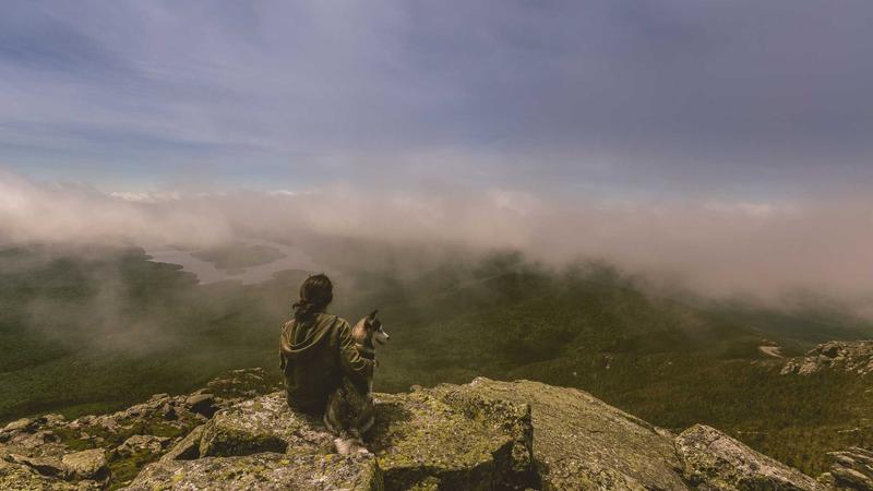 Cómo Cobrar a Clientes Internacionales desde Colombia en 2026