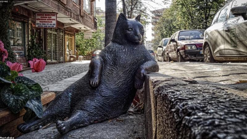 Cómo Medir el ROI de tu Página Web