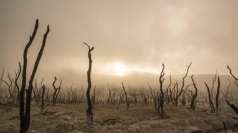 Guía de Docker y Contenedores para Principiantes en 2026