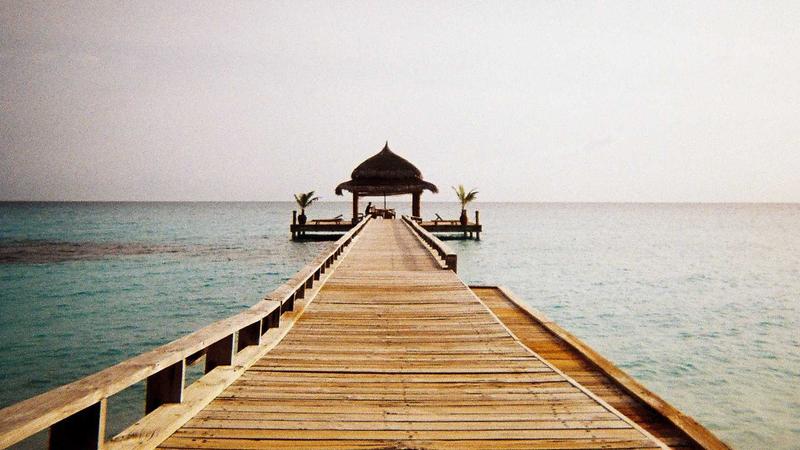 GraphQL vs REST API: ¿Cuál Elegir para Tu Proyecto en 2026?