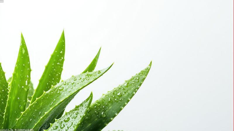 Página Web para Clínicas Estéticas y Spa