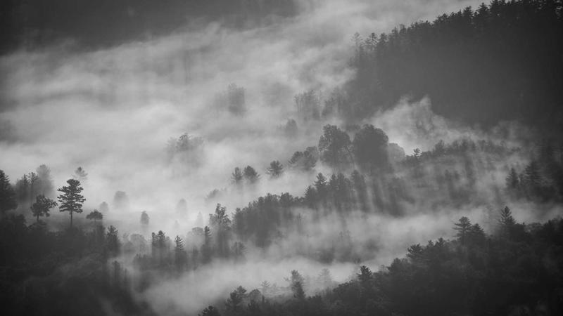 Cómo Recuperar Posiciones en Google Tras una Penalización SEO